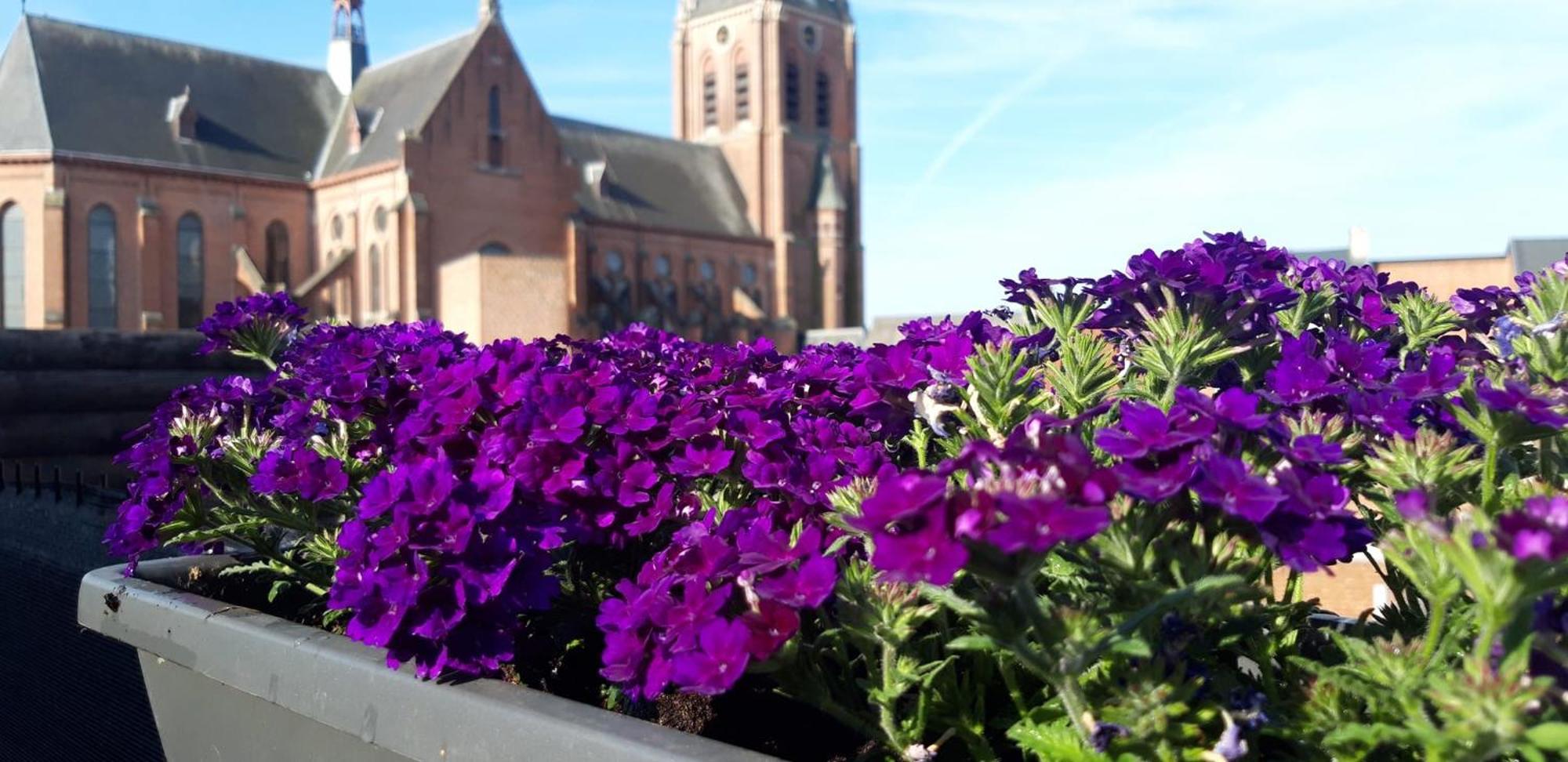 B&B Bon-Bon 'Nuit' Turnhout Exteriér fotografie